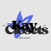 kay_closets